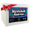 10Pk Stretched Canvas for Painting