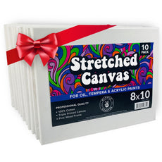 10Pk Stretched Canvas for Painting